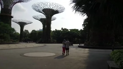 Tourist walking through Super Trees in Gardens by the Bay, Singapore Stock Footage 131226020