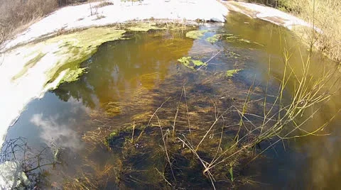 Tourist is walking through the swamp. First-person view. Video stock 24425020