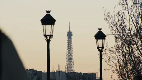 Tourist walking towards eiffel tower at sunset Stock Footage 305355514