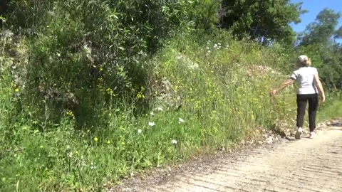 A tourist walks in the forest Stock Footage 309797008