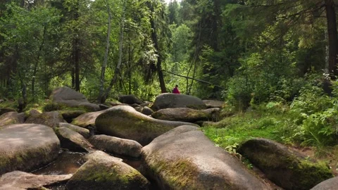 A tourist walks through the forest Stock Footage 171253227