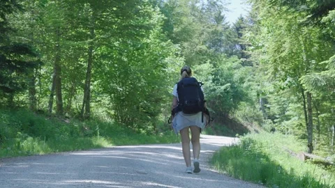 Tourist walks through the forest Stock Footage 246627058