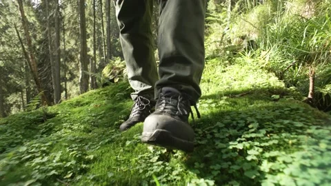 A tourist walks through the forest, view of the legs Stock Footage 231900527