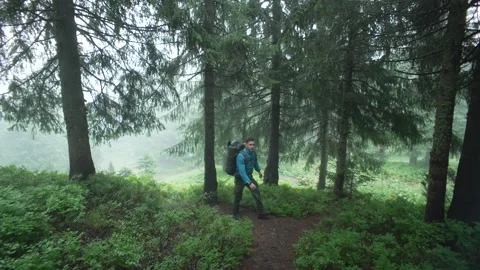 A tourist walks through a pine forest while hiking uphill. Stock Footage 218441031