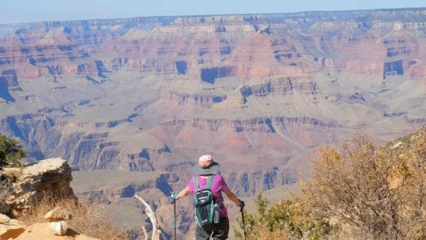 The Tourist Woman Looks Over The Layered Bands Of Red Rock In Grand Canyon Stock Footage