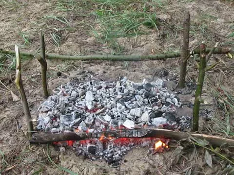 Touristic bonfire in the forest, environment diversity, Stock Footage 12615401
