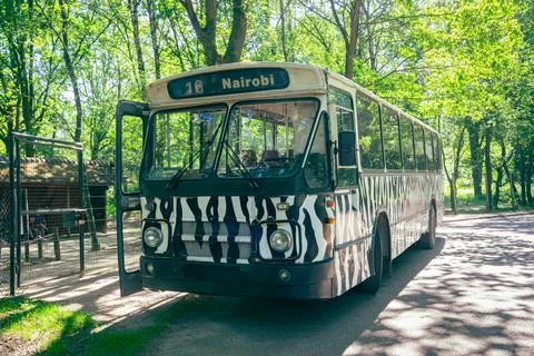 Touristic bus with zebra pattern Stock Photos