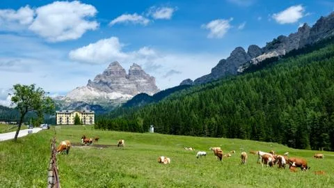Touristic Meadow Stock Photos