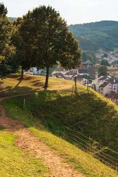 Touristic point of view with tree and path Stock Photos
