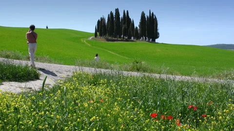 Tourists admire Tuscan landscape with cypresses near San Quirico d'Orcia. Stock Footage 195036853