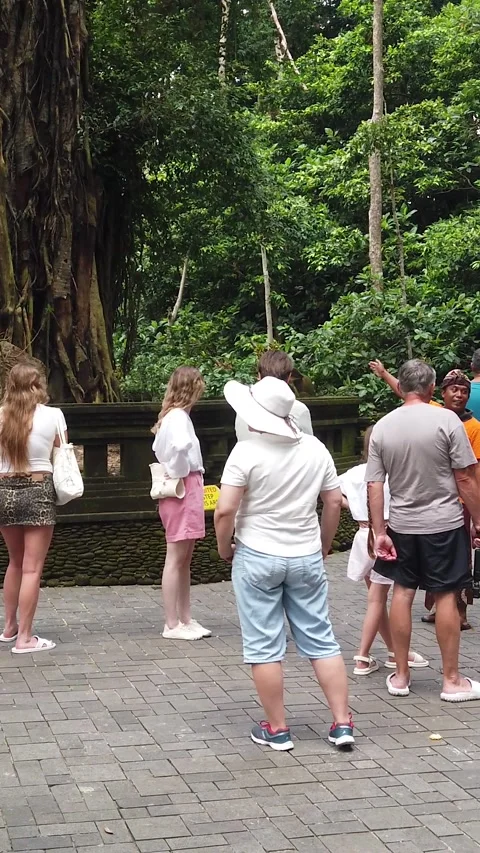 Tourists and Local Guide Walking in Sacred Monkey Forest Ubud Bali Vertical Stock Footage 339751507