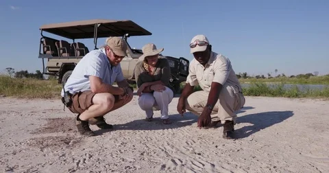 Tourists and safari guide looking at animal tracks in the Okavango Delta Stock Footage