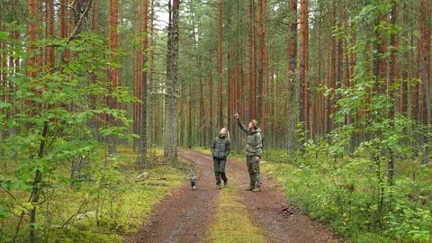 Tourists are walking in the forest. Vidéo 318979517