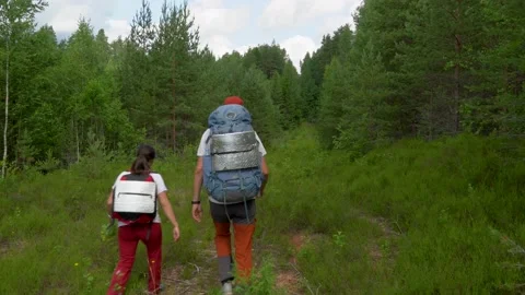 Tourists are walking in the green forest Stock Footage