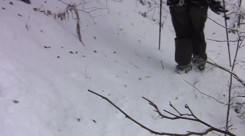 Tourists with backpack behind, go down a snow covered road in the forest 30 Stock Footage 60401536