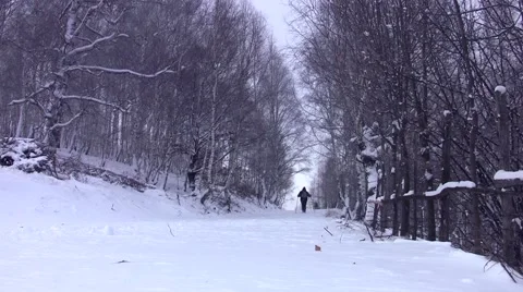 Tourists with backpack, go behind down a snow covered road in the forest 46 Stock Footage 60401299