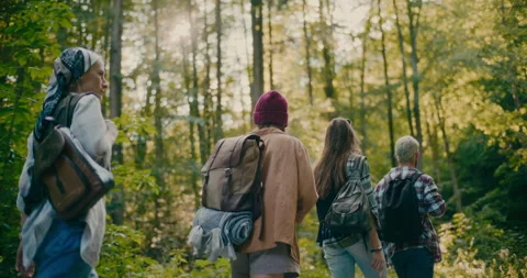Tourists With Backpacks Exploring Forest During Vacation Stock Footage 251987832