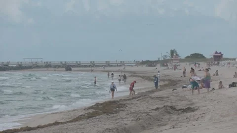 Tourists On A Beach Stock Footage 311547697