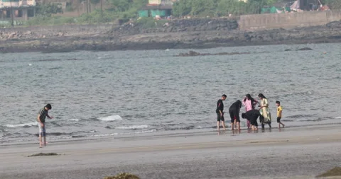 Tourists in Beach India Stock Footage 320343424