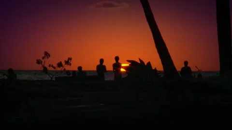 Tourists on beach at sunset Video stock 55571134