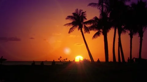 Tourists on beach at sunset Video stock 55571169