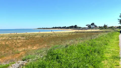 Tourists on bikes on a coastal cycle path on a sunny day on Oleron island Stock Footage 276835355