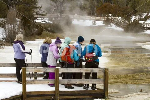 Tourists on boardwalk at Mammoth Hot Springs, Yellowstone National Park, Wyom Stock Photos