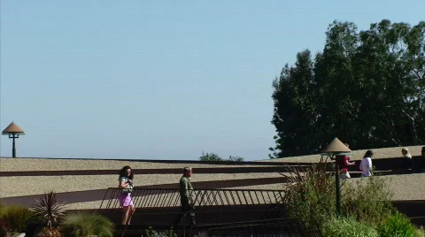 Tourists on Bridge Stock Footage 462320