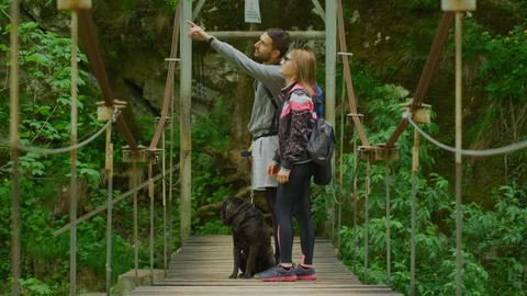 Tourists on a bridge, pointing Stock Footage 99962490
