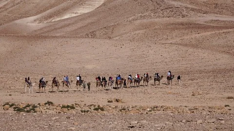 Tourists on a camel trip in the desert Stock Footage 102625873