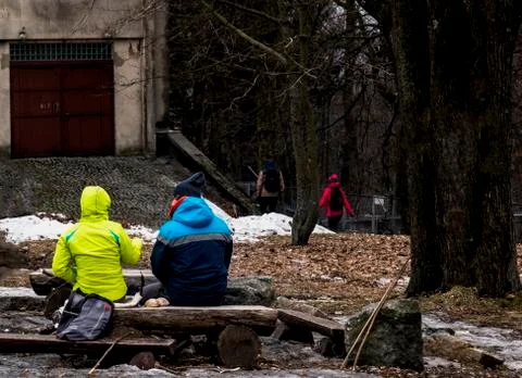 Tourists with chainsaw in forest Stock Photos