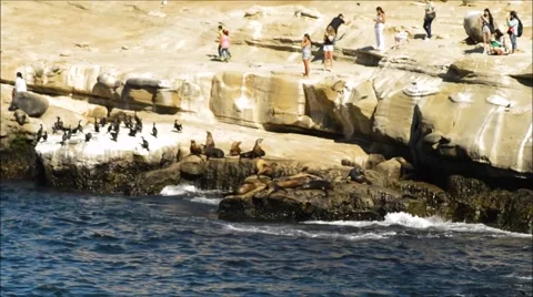 Tourists on the cliff-side. Stock Footage 52678450