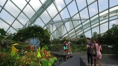 Tourists in Cloud forest Dome, Gardens by the Bay, Singapore Stock Footage 131226136