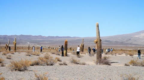 Tourists in Desert Stock Footage 880408