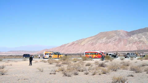 Tourists in Desert Stock Footage 880803