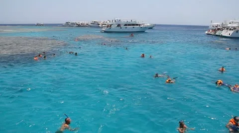 Tourists dive with mask Stock Footage 10956429
