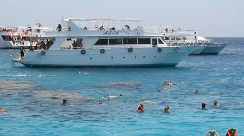 Tourists dive with mask Stock Footage 10956676