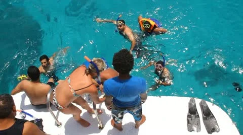 Tourists dive with mask Stock Footage 10957093