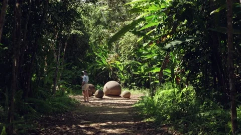 Tourists down long shadowed trail to 3 spheres in Cota Rica Stock Footage 206504498