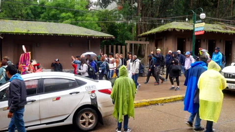 Tourists enjoying their group excursion walking past Taxi and Buildings Stock Footage 335007819