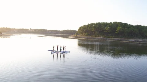 Tourists exercising on stand up paddle board in lake Stock Footage