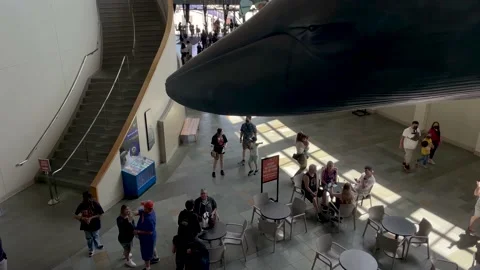 Tourists Explore the First Floor of the Aquarium of the Pacific in Long Beach 動画素材 199347826