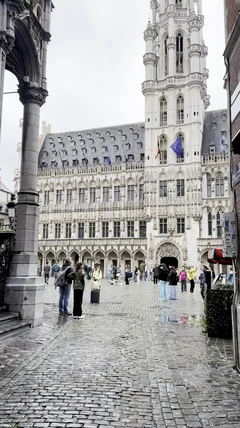 Tourists explore the historic cobblestone square in front of the magnificen.. Stock Footage 339444229