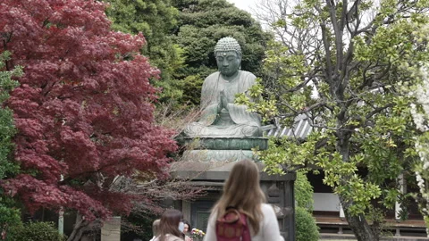 Tourists explore at praying buddha statue in Spring Garden Tokyo Vídeo Stock 242404955