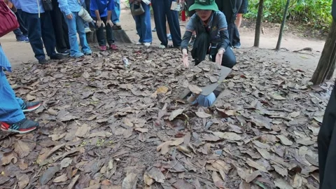 Tourists exploring Cu Chi Tunnels, Ho Chi Minh City, Vietnam Stock Footage 335050313