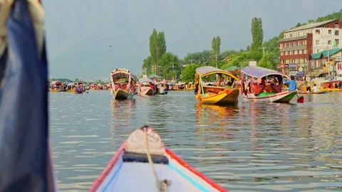 Tourists Exploring Dal Lake on Shikara  in Srinagar Kashmir India Editorial Stock Footage 336480072