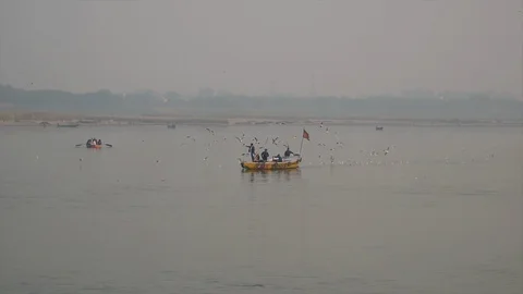 Tourists feeding migratory birds while boating on river Ganges in Varanasi Video stock 130100667
