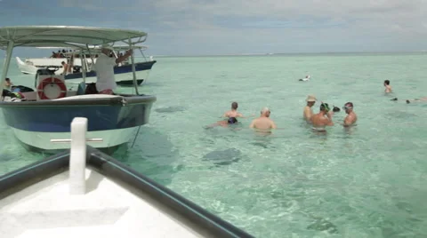 Tourists float and snorkel in the stunning turquoise waters of Tahiti Vidéo 68100668