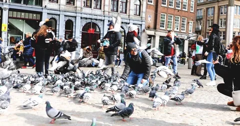 Tourists Stock Footage 105650575