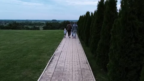 Tourists Stock Footage 246498561